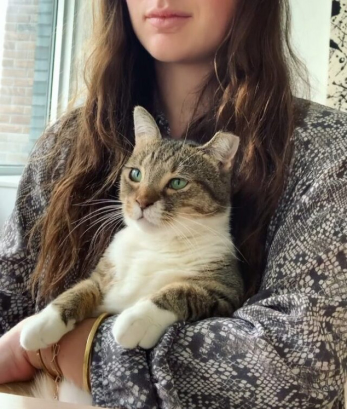 She Turned into a Lovebug