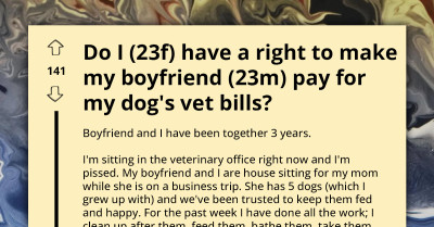 Young Woman Angry At BF For Allowing Her Dogs To Fight Under His Watch, Believes He Should Pay Vet Bills