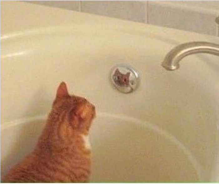 14. "Oh goodness, I'm a real beauty."