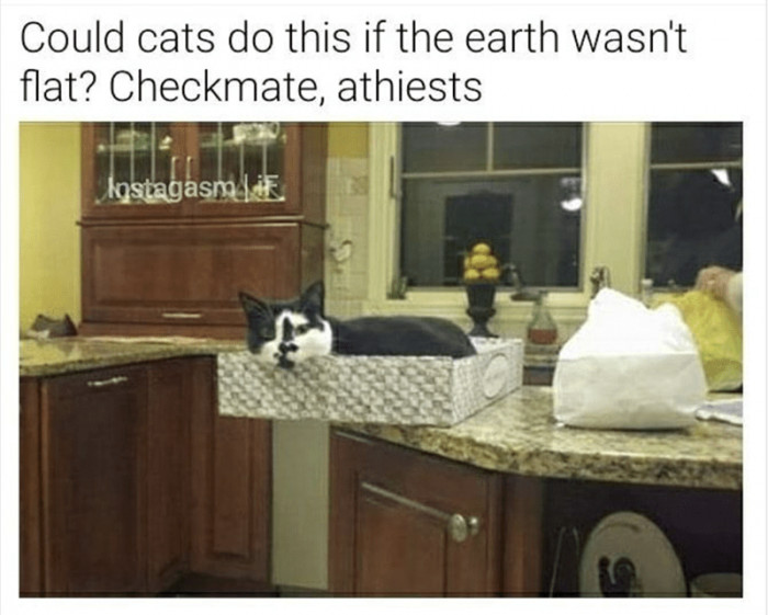 11. That cat is seriously leveling up in the air