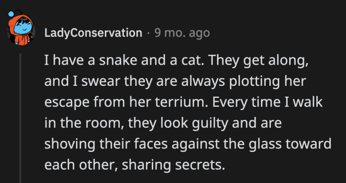 28. We found Slytherin's heir!