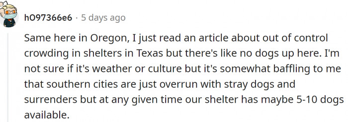 Their shelters are basically empty