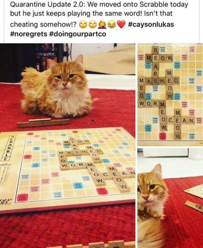 7. How do you play against such a tactic?