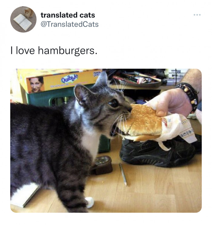 14. He took a big munch.