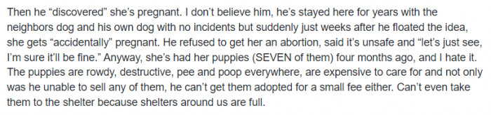 The boyfriend said he wouldn't do it, but the pit bull 