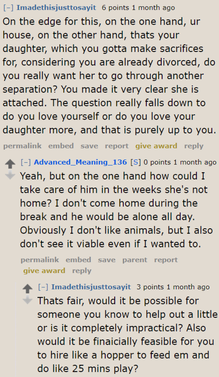 Even if he agrees, his schedule isn't ideal for dog care. It would likely end up being neglected.