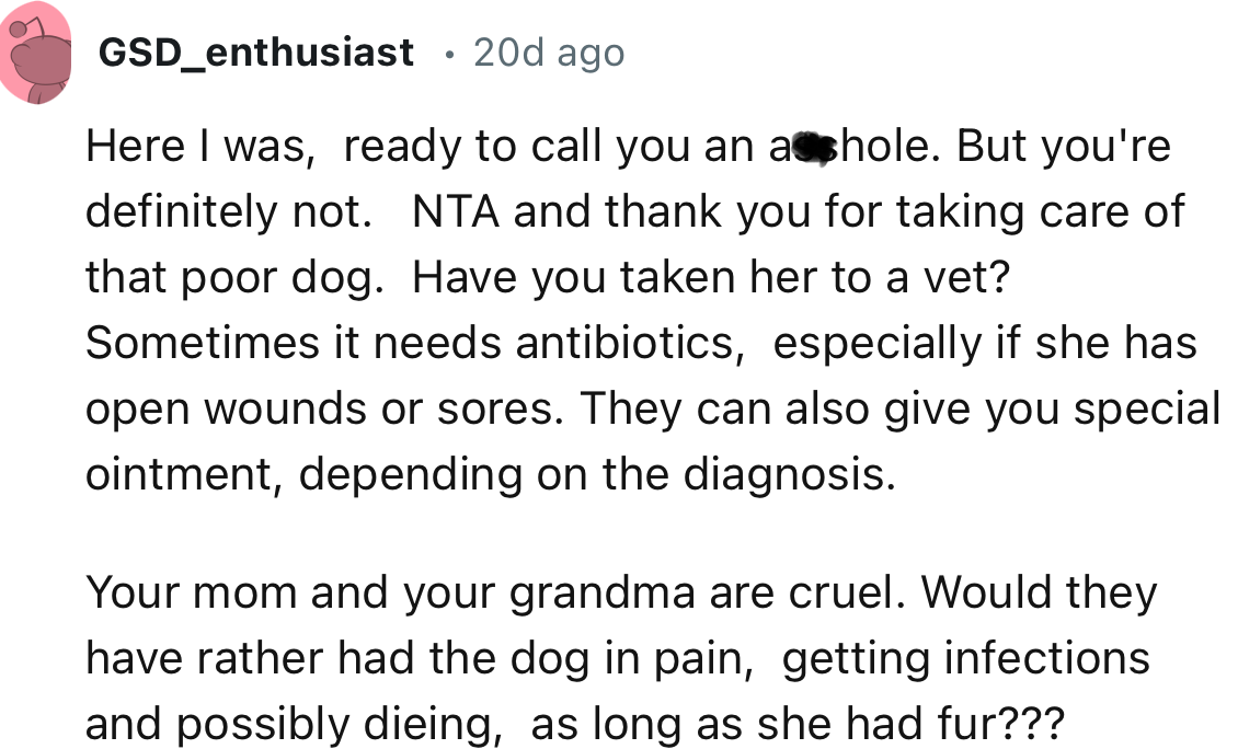 “Your mom and your grandma are cruel. Would they have rather had the dog in pain, getting infections, and possibly dying, as long as she had fur?”