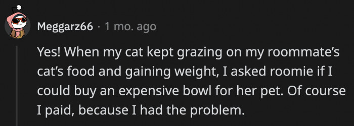 A Cat Owner Who Is Also a Stickler for the Food Their Cat Eats Did What OP's Roommate Refused to Do—Admit That It Was Their Problem and Not Their Roommate's.