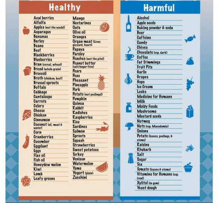 Here is a table with good and bad food: