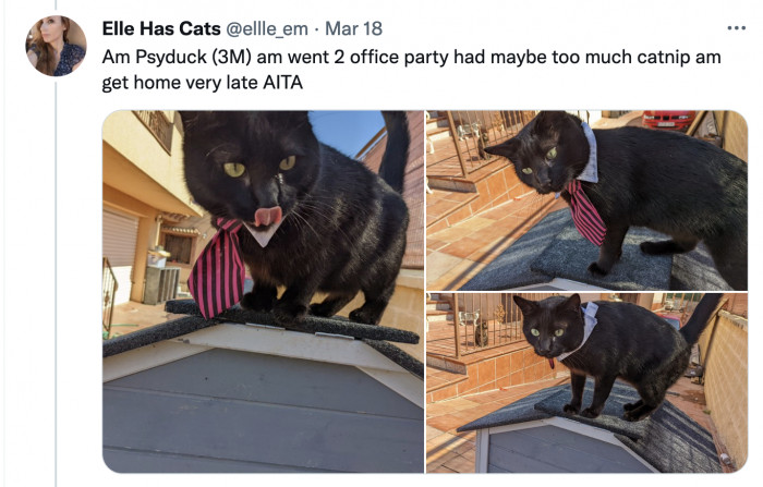 Psyduck might be seeing double from last night