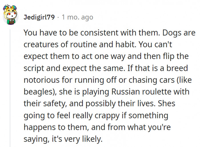 redditor-asks-if-they-re-wrong-for-not-wanting-their-dogs-offleash-near