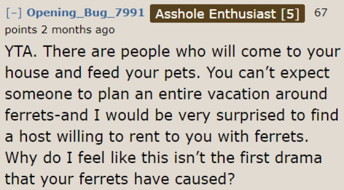 The community called the OP the A-hole because they expect their mom to plan the trip around their pet ferret.