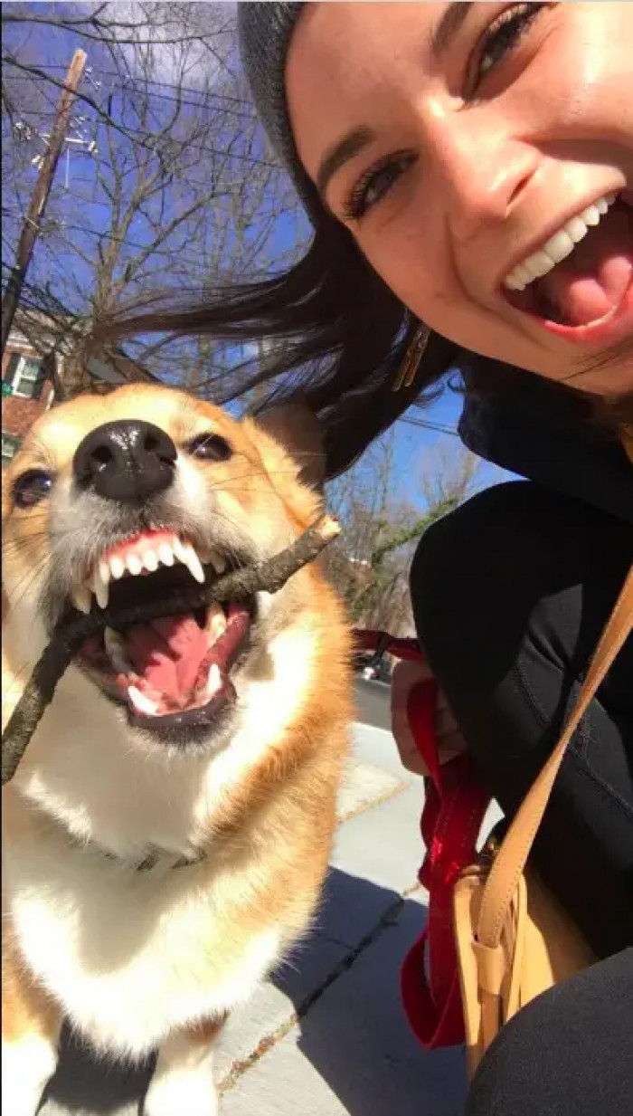 18. When your dog shares in your laughter