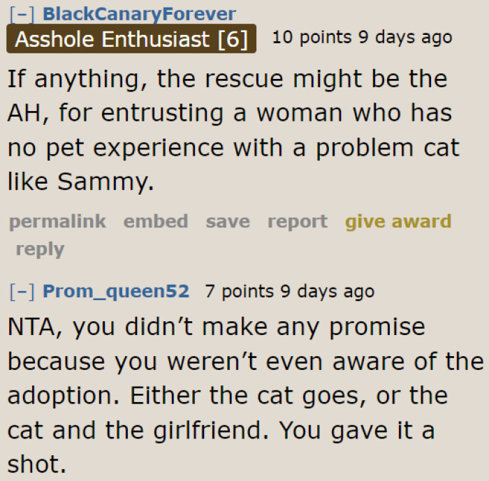 The rescue shouldn't have handed this cat to a beginner. It was a wrong move on their part.