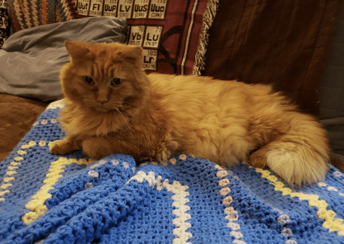 Here is a picture of Rusty