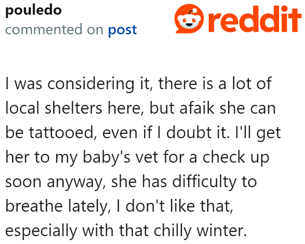 The OP suspects that the cat has a tattoo, which is why he is hesitant to surrender it.