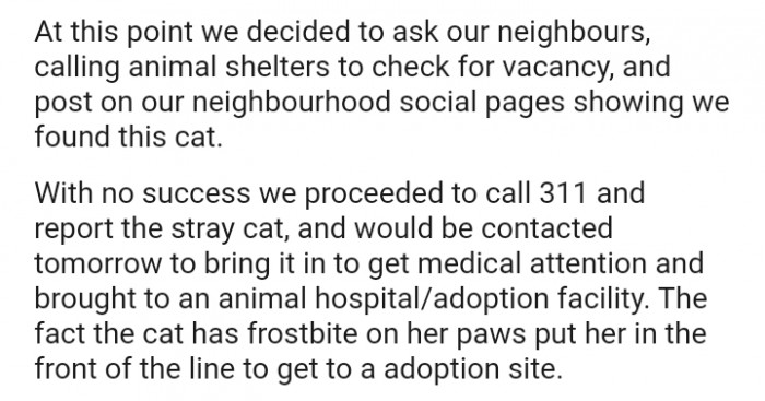 The fact that the cat has frostbite on her paws put her at the front of the line