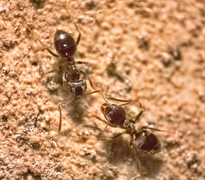 11. Well, you could say they're having a meeting