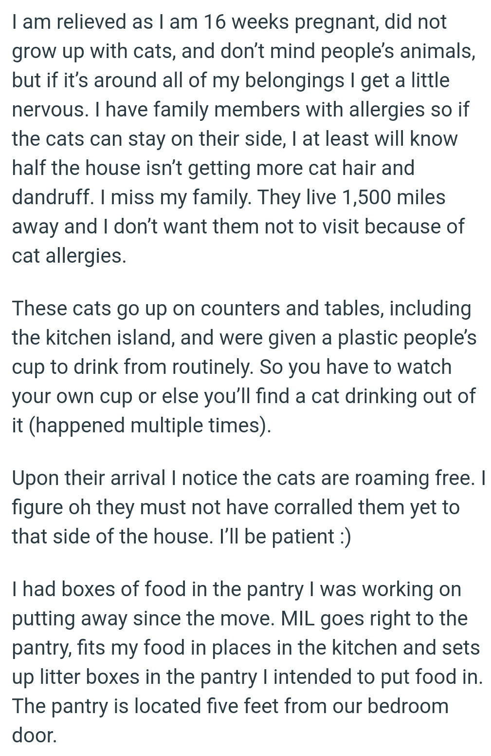 These cats go up on counters and tables, including the kitchen island.