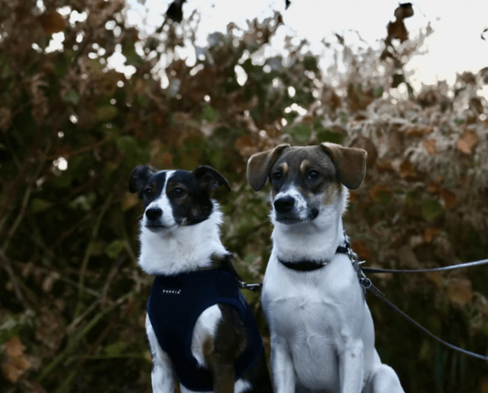 Awesome transformation