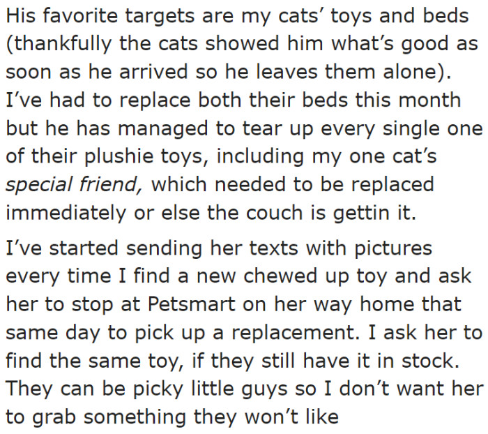 Her stepdaughter has a puppy that destroys the cats' toys.