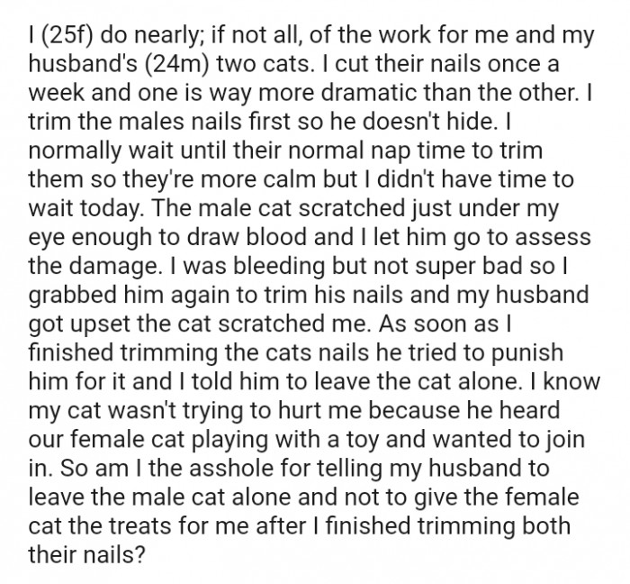 The male cat scratched just under my eye enough to draw blood