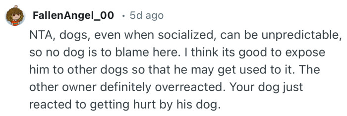 “The other owner definitely overreacted. Your dog just reacted to getting hurt by his dog.”