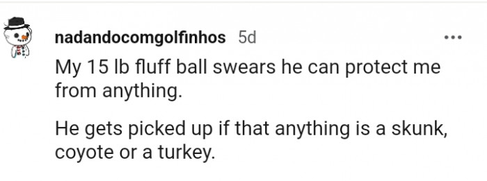 11. My dog swears he can protect me from anything