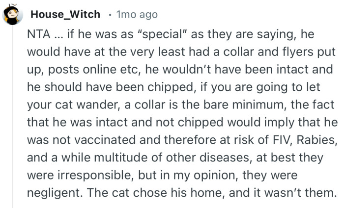 “If he was as ‘special’ as they are saying, he would have at the very least had a collar and flyers put up, posts online etc.”