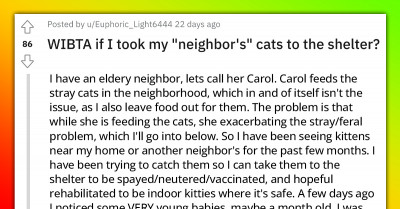 Redditor Wants To Know If It's Wrong For Her To Set Traps For "Neighbor’s" Cats And Take Them To The Shelter
