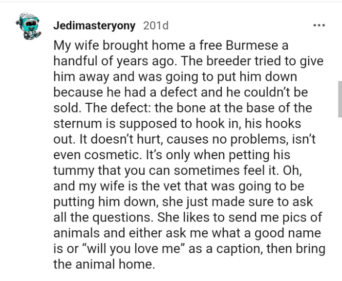 This Redditor's wife got a free Burmese from a breeder who was going to put him down