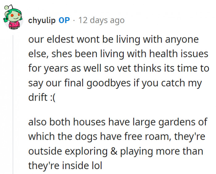 OP assured them, though, that her dog has an outdoor garden to play in when not getting walks.