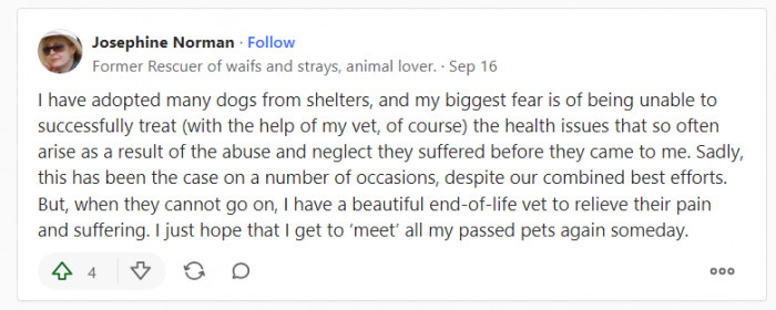 13. As a former animal rescuer, this Quoran is scared that they won't be able to adequately handle health issues that may arise from the abuse and neglect her adopted dogs faced in the past