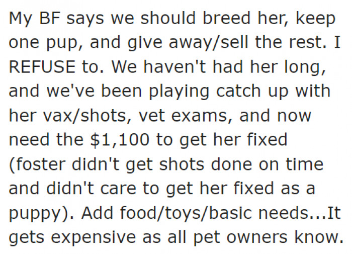 The Boyfriend Wants Backyard-Bred Pups.