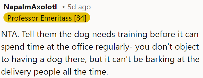 The dog can be at the office once trained not to bark at delivery people.