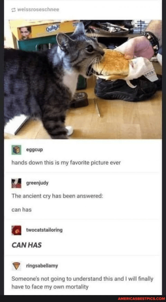 1. Expanding the diet plan