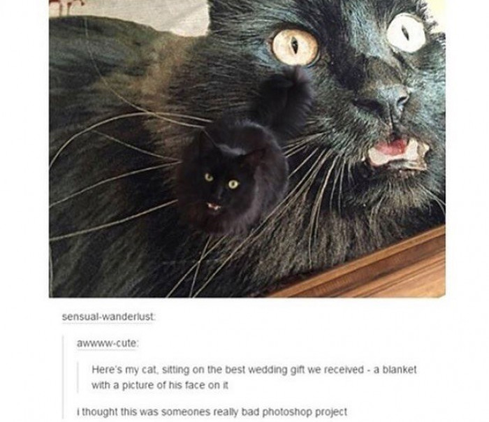 18. This is not photoshopped.