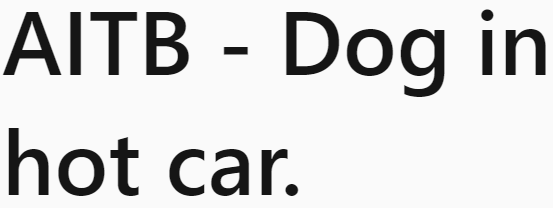 A Woman Concerned for a Dog Shared Her Story.