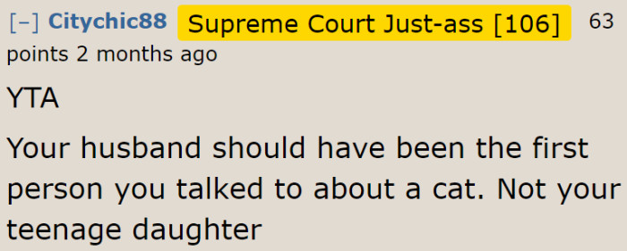 Redditors agree that the woman is the a-hole for getting the cat after her husband refused.