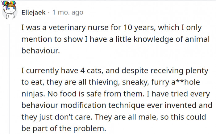 Professional experience: