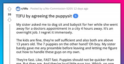 Person Agrees To Puppysit Seven Puppies But Immediately Regrets Their Decision