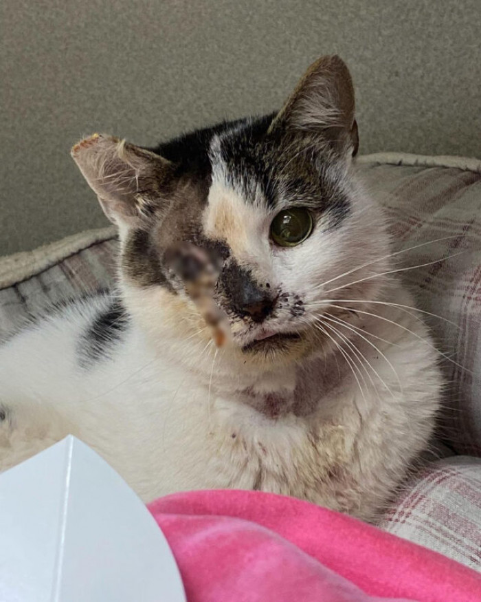 But now, he's doing better