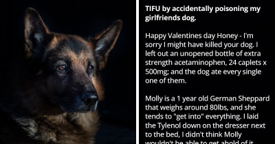 Man Leaves A New Bottle Of Tylenol On The Night Dresser And His Girlfriend’s Dog Eats All 24 Caplets