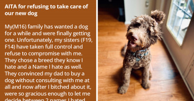 Redditor Refuses To Take Care Of New Family Dog After Getting Cut Out From Decision-Making