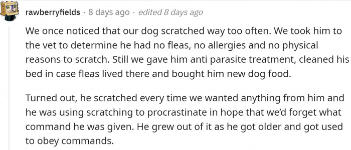However, some dogs act weird to procrastinate: