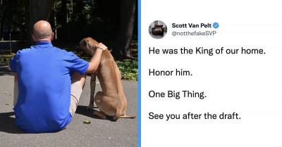 The Moment This Sportscaster Delivered A Heartfelt Tribute To His Dog On Air Will Make You Emotional