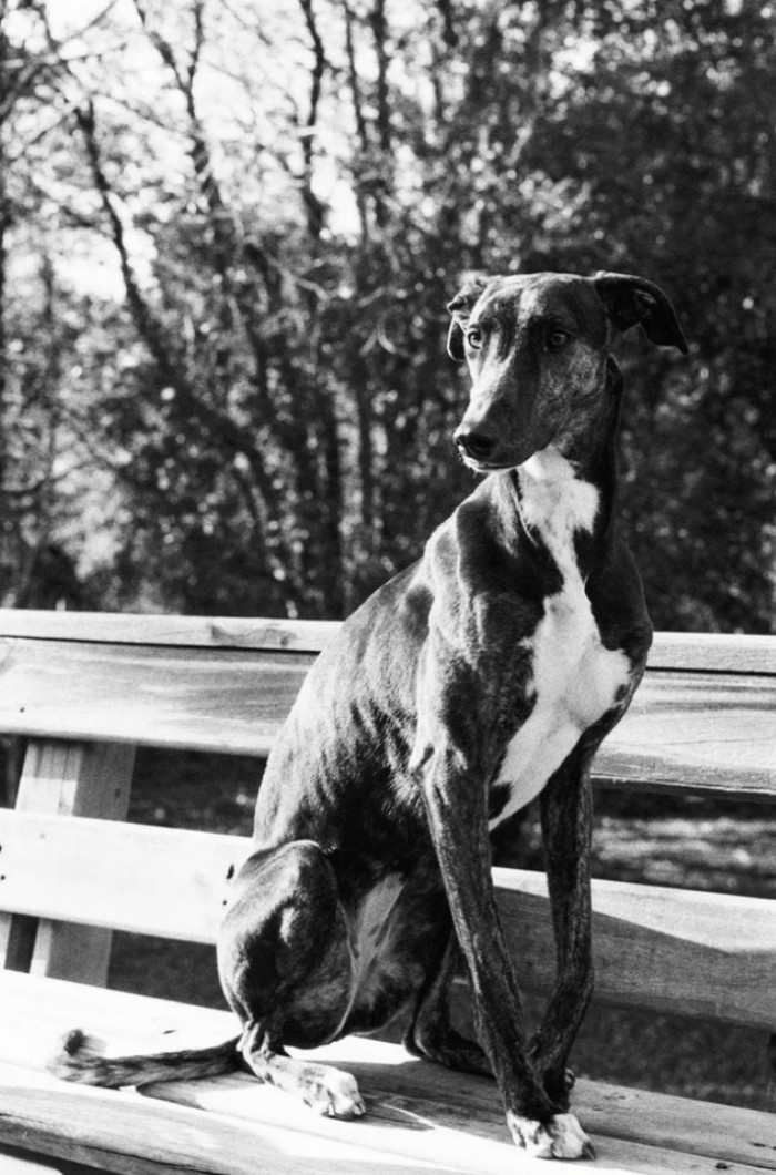 8. Do you need a new wallpaper?