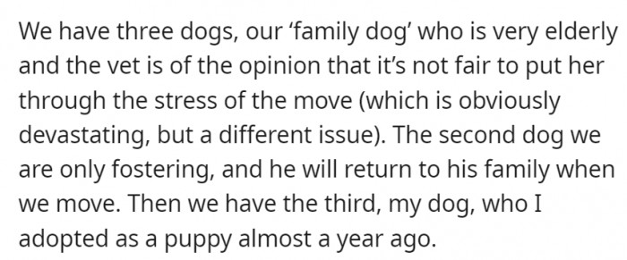 They have three dogs, one of which is the sister's personally adopted puppy.