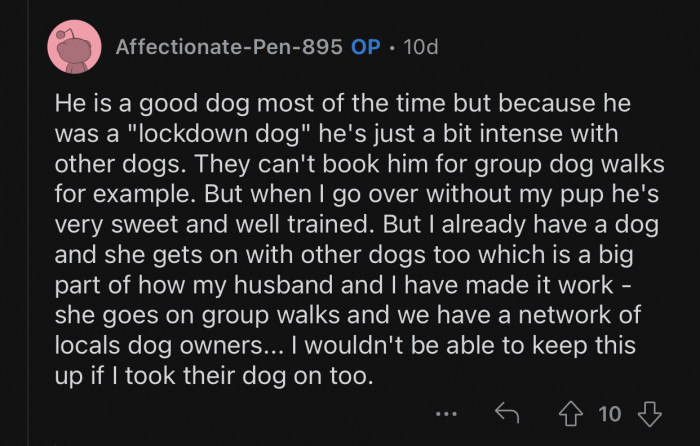 The brother's dog is a bit intense with other dogs.