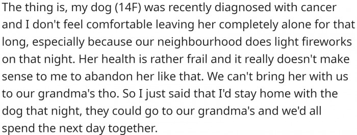 Her family throws large family Christmas celebrations, and OP regularly attends them. However, this year is different. Her dog was diagnosed with cancer, and she wants to stay with her on Christmas Eve because she fears firecrackers.